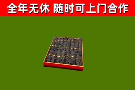 桥头镇回收海参